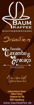 Baum Kaffee Brasilien Fazenda Caxambu Baum Kaffee Brasilien Fazenda Caxambu