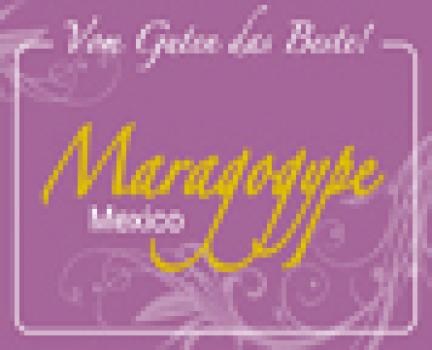 Bühler Kaffee Maragogype Mexico Bühler Kaffee Maragogype Mexico