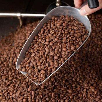 Dauner Kaffeer&ouml;sterei Dauner Mischung