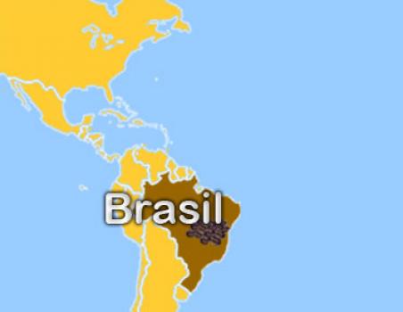 Die Rösterei Brasil Yellow Bourbon Die Rösterei Brasil Yellow Bourbon