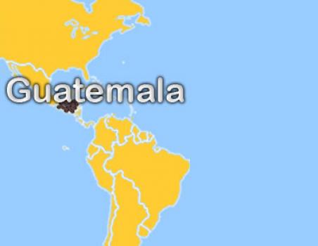 Die Rösterei Guatemala Maragogype Die Rösterei Guatemala Maragogype