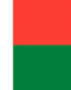 Gebrand Madagascar Arabica Coffee, Unwashed, Ambatomenaloha, Bourbon, Sundried Arabica, Organic Gebrand Madagascar Arabica Coffee, Unwashed, Ambatomenaloha, Bourbon, Sundried Arabica, Organic