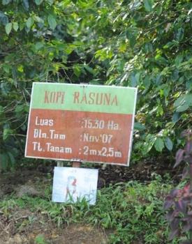 Gebrand Indonesia, Washed Arabica, Sumatra, Wahana Plantation, Rasuna Gebrand Indonesia, Washed Arabica, Sumatra, Wahana Plantation, Rasuna