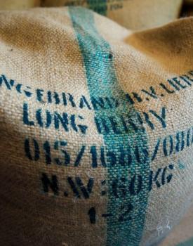 Gebrand Indonesia, Washed Arabica, Sumatra, Wahana Plantation, Longberry Gebrand Indonesia, Washed Arabica, Sumatra, Wahana Plantation, Longberry