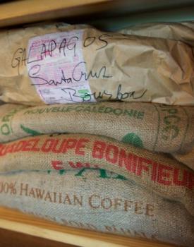 Gebrand Guadeloupe Arabica, Domaine de Vanibel, Bonifieur Gebrand Guadeloupe Arabica, Domaine de Vanibel, Bonifieur