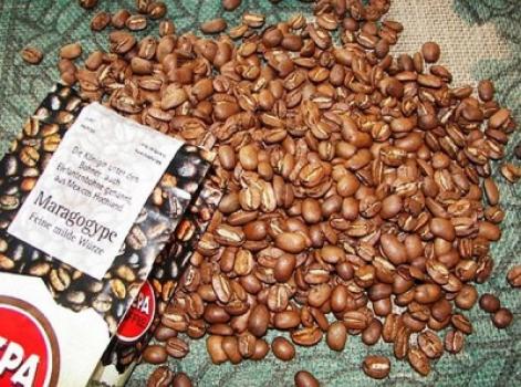 Hepa-Kaffee Maragogype Hepa-Kaffee Maragogype