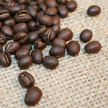 Kaffee Manufaktur Indien »Pearl Mountain« Kaffee Manufaktur Indien »Pearl Mountain«