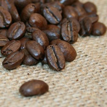 Kaffee Manufaktur Jamaica »Blue Mountain« Kaffee Manufaktur Jamaica »Blue Mountain«