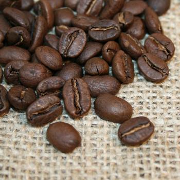 Kaffee Manufaktur Mexiko »La Selva« Bio Kaffee Manufaktur Mexiko »La Selva« Bio