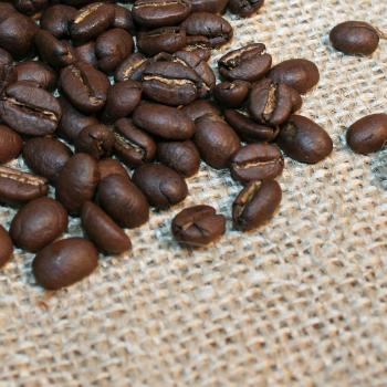 Kaffee Manufaktur Äthiopien Wildkaffee Kafa Forest Kaffee Manufaktur Äthiopien Wildkaffee Kafa Forest