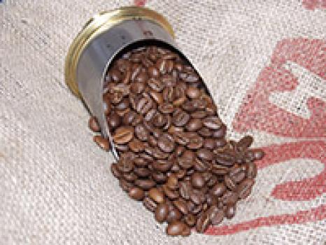 Kaffeefee Sachsen Landhofmischung – Der Frühstückskaffee Kaffeefee Sachsen Landhofmischung – Der Frühstückskaffee