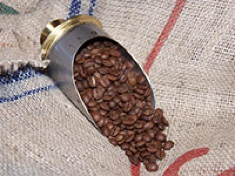 Kaffeefee Sachsen Brasil Santos Kaffeefee Sachsen Brasil Santos