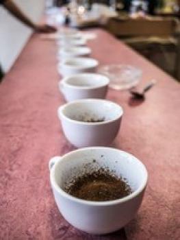 Ronja Espresso Ethiopia Shakiso Ronja Espresso Ethiopia Shakiso