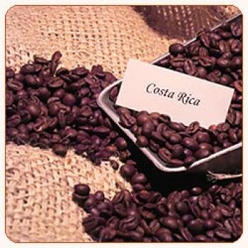 Rösterei Kaffeekultur Costa Rica Tarrazú Dota Rösterei Kaffeekultur Costa Rica Tarrazú Dota
