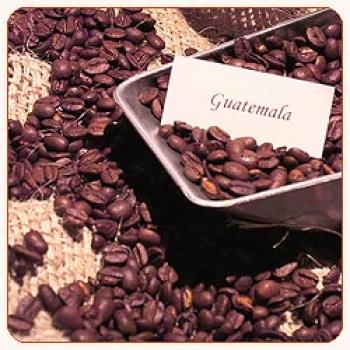 Rösterei Kaffeekultur Guatemala San Sebastian Rösterei Kaffeekultur Guatemala San Sebastian