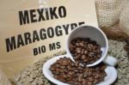 Rösterei Moccafair Moccafair Maragogypes Chiapas Bio Rösterei Moccafair Moccafair Maragogypes Chiapas Bio