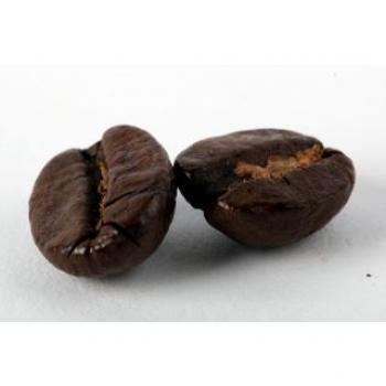 Toma´s Caffè Guatemala Toma´s Caffè Guatemala