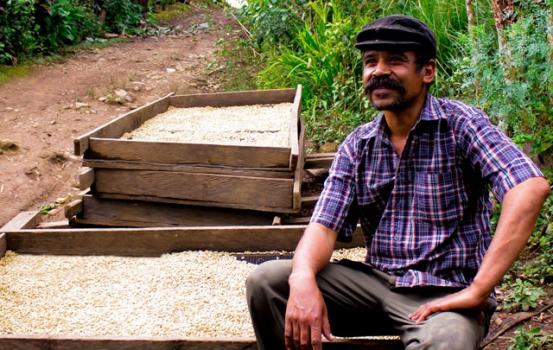 Wildkaffee Nicaragua Planta de Montana Wildkaffee Nicaragua Planta de Montana