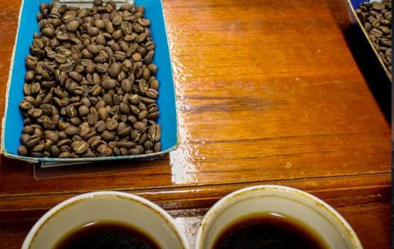 Wildkaffee Äthiopien Yirgacheffe Kochere Wildkaffee Äthiopien Yirgacheffe Kochere