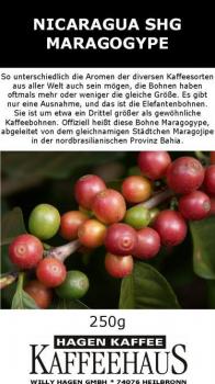 Hagenkaffee Nicaragua SHG Maragogype Hagenkaffee Nicaragua SHG Maragogype