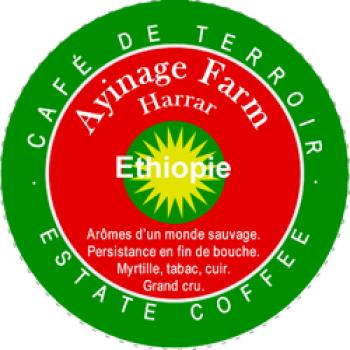 World´s Best Coffee Ayinage Farm — Harrar — Ethiopie World´s Best Coffee Ayinage Farm — Harrar — Ethiopie