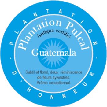 World´s Best Coffee Plantation Pulcal. Antigua Certifié. Guatemala World´s Best Coffee Plantation Pulcal. Antigua Certifié. Guatemala